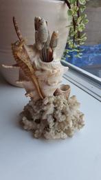 Vintage Retro Zeeschelp Cocktail Prikkers met Schelpen, Verzamelen, Ophalen of Verzenden, Huis en Inrichting