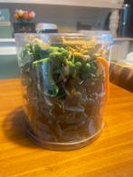 Doos vol met soldaatjes (plastic), Ophalen of Verzenden, Zo goed als nieuw