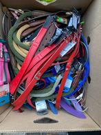 Hondenriemen tuigjes halsbanden, Ophalen, Nieuw, Hondenriem-accessoire