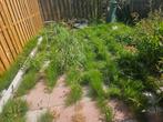 Gezocht tuinman/stratenmaker, Tuin en Terras, Overige Tuin en Terras, Ophalen of Verzenden