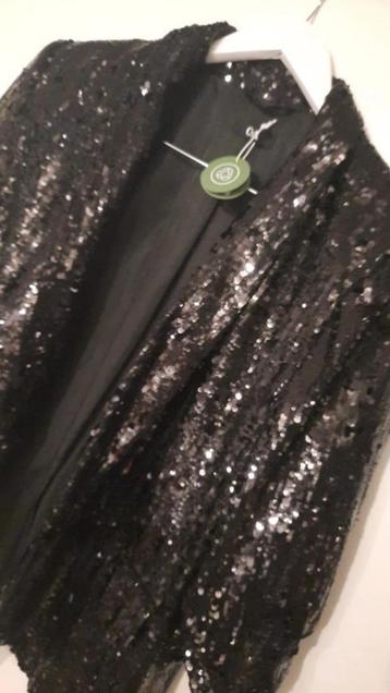size 48: All That Glitters” Black Sequin Blazer – Your Ultim beschikbaar voor biedingen