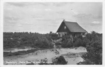 (300-308-041) Westerbork Heide Hoes beschikbaar voor biedingen