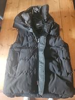 Malelions Bodywarmer XL - Zwart, Zwart, Malelions, Maat 56/58 (XL), Ophalen of Verzenden