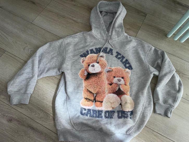Bershka L hoodie trui Berentrui grijze grijze beren, Kleding | Dames, Truien en Vesten, Gedragen, Maat 42/44 (L), Grijs, Verzenden