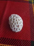 Hersenkoraal - Decoratief Object, Ophalen, Gebruikt, Overige soorten, Beeldje of Figuurtje