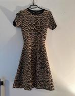 Nikkie plessen panterprint jurkje maat 34, Ophalen of Verzenden, Zo goed als nieuw, Maat 34 (XS) of kleiner, Boven de knie