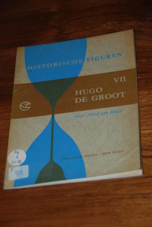Hugo de groot, het delfts orakel., Boeken, Schoolboeken, Gelezen, Geschiedenis, Overige niveaus, Ophalen of Verzenden