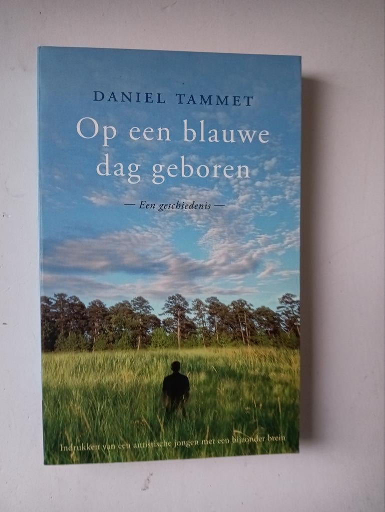 Daniel Tammet - Op een blauwe dag geboren, Boeken, Ophalen of Verzenden, Zo goed als nieuw, Daniel Tammet