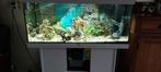 Groot aquarium helemaal compleet, Dieren en Toebehoren, Vissen | Aquaria en Toebehoren, Ophalen, Zo goed als nieuw, Gevuld zoetwateraquarium