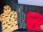 Truien jongen maat 134/140, Kinderen en Baby's, Kinderkleding | Maat 134, Ophalen, Gebruikt, Jongen, Trui of Vest
