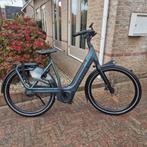 Schitterende Gazelle Avignon C380 Belt aandrijving, Ophalen, Zo goed als nieuw, 50 km per accu of meer, 55 tot 59 cm