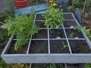 2 x Makkelijke Moestuin 120x120 MM-hero op poten + klimrek beschikbaar voor biedingen