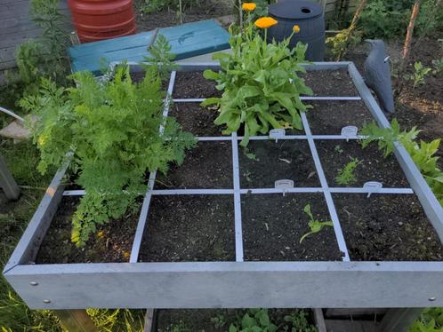 2 x Makkelijke Moestuin 120x120 MM-hero op poten + klimrek, Tuin en Terras, Bloembakken en Plantenbakken, Nieuw, Kunststof, Balkon