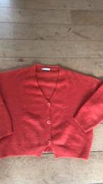 By bar vest, Kleding | Dames, Ophalen of Verzenden, Zo goed als nieuw