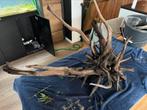 Zeer groot aquarium houtstuk, Dieren en Toebehoren, Ophalen of Verzenden, Zo goed als nieuw, Plant(en), Steen of Hout
