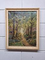 Mooi schilderij met een bospad, Antiek en Kunst, Kunst | Schilderijen | Klassiek, Ophalen of Verzenden