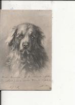 Sip kijkende hond  25 dec 1902, Verzenden, Voor 1920, Gelopen, Overige thema's