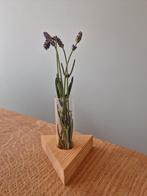 2 Leuke stekvaasjes | Kiemvaasjes reageerbuis, Ophalen, Zo goed als nieuw, Glas, Minder dan 50 cm