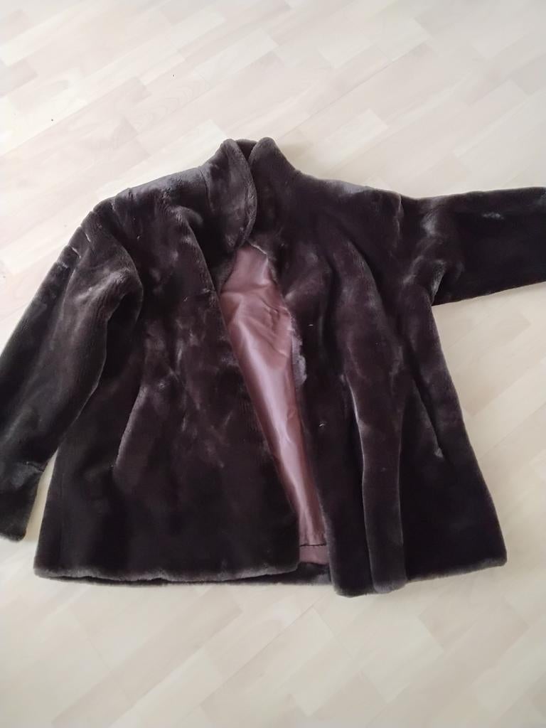 Winterjas XXL ACTUALS, Kleding | Dames, Actuals, Bruin, Maat 46/48 (XL) of groter, Ophalen of Verzenden
