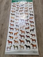 Paarden poster, Ophalen of Verzenden