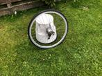 Achterwiel 26 inch 4 versnelli. rollerbrakes band 26 x 1 3/8, Wiel, Gebruikt, Shimano Nexus, Algemeen