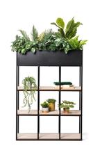 Plantenbak kast roomdivider vakkenkast xenos, Tuin en Terras, Ophalen, Gebruikt