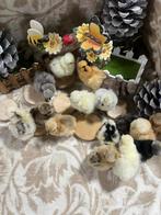 Usa zijdehoen hen kuikens🐣1wk geent zijdehoenders hennen🍀, Dieren en Toebehoren, Pluimvee, Vrouwelijk, Kip