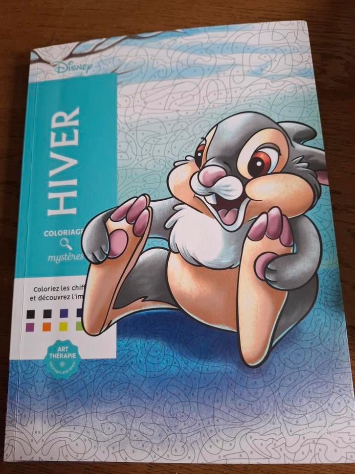 Disney Hiver Kleurboek thema winter, Hobby en Vrije tijd, Tekenen, Gebruikt, Papier, Schets- of Tekenboek, Ophalen of Verzenden