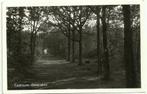 AK Castricum - Geversduin, Gelopen, 1960 tot 1980, Noord-Brabant, Verzenden