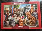 Castorland Puzzel 2000 Stukjes - Poezen, Ophalen of Verzenden, Meer dan 1500 stukjes, Zo goed als nieuw, Legpuzzel