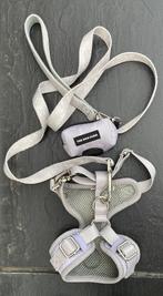 Tuigje voor kleine hond, Ophalen, Zo goed als nieuw, Hondenriem