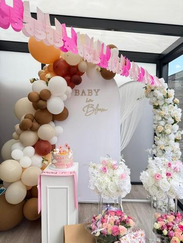 Baby in Bloom - Waar elk moment magisch wordt beschikbaar voor biedingen