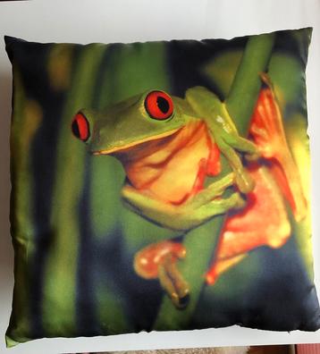 Kussen met Kikker 40x40 cm beschikbaar voor biedingen