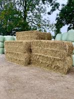 Grote hooibalen mooi weide hooi, Dieren en Toebehoren, Stalling en Weidegang, Weidegang, 4 paarden of pony's of meer
