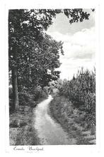 901749	Ermelo	Boschpad	Gld 1941	Gelopen met postzegel, Verzamelen, Ansichtkaarten | Nederland, Ophalen of Verzenden, 1940 tot 1960