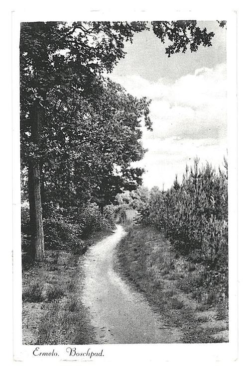 901749	Ermelo	Boschpad	Gld 1941	Gelopen met postzegel, Verzamelen, Ansichtkaarten | Nederland, Gelopen, Gelderland, 1940 tot 1960