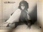 MARC BOLAN  T.REX A3 advertentie The Groover, Cd's en Dvd's, Ophalen of Verzenden