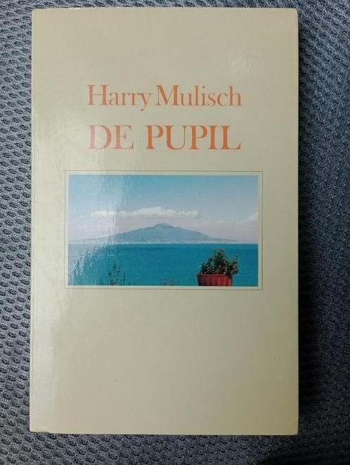 De Pupil door Harry Mulisch, Boeken, Literatuur, Zo goed als nieuw, Nederland, Ophalen of Verzenden