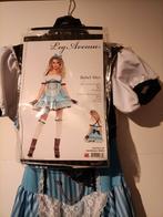 Alice in Wonderland pakje carnaval, Kleding | Dames, Maat 38/40 (M), Zo goed als nieuw, Ophalen