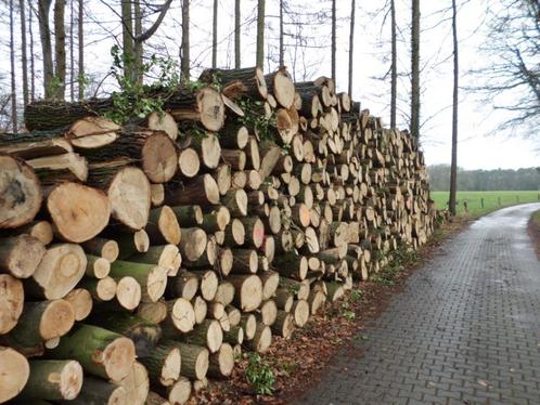 Haardhout/Brandhout rondhout om zelf te klieven., Tuin en Terras, Haardhout, Stammen, Overige houtsoorten, 6 m³ of meer, Ophalen of Verzenden