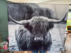 Wanddoek schotse hooglander, Ophalen, Zo goed als nieuw, Schilderij, 75 cm of meer