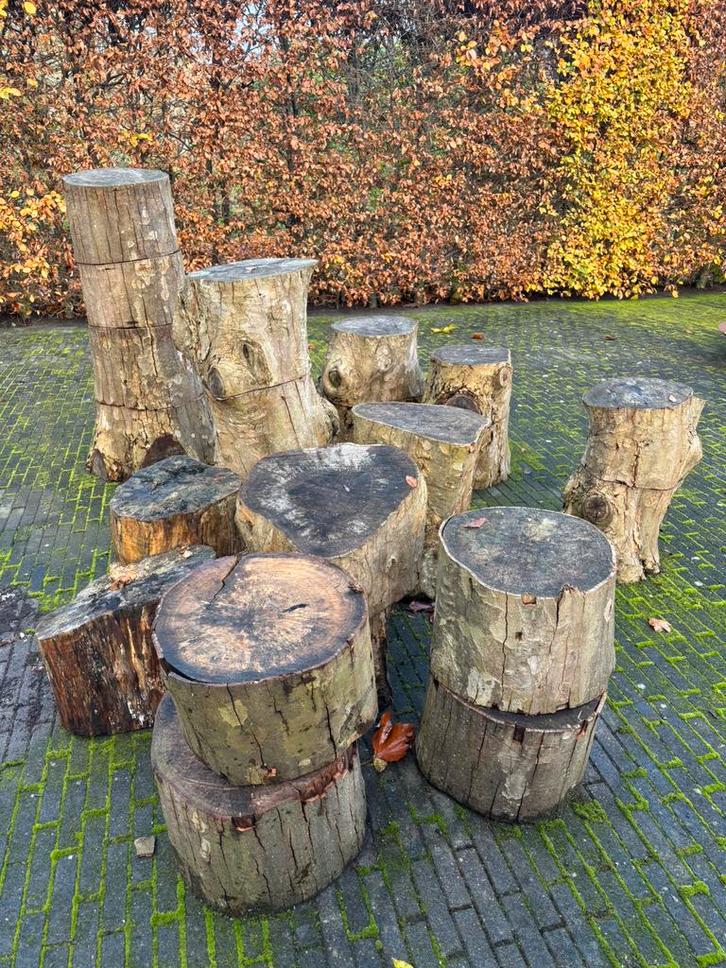 Grote blokken plataan hout voor houtdraaien of haardhout, Hobby en Vrije tijd, Overige Hobby en Vrije tijd, Zo goed als nieuw