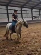 Te koop super leuke tinker merrie, Dieren en Toebehoren, Pony's, Merrie, B, C pony (1.27m tot 1.37m), Gechipt