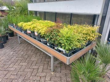 Plantentafels voor kwekerij, tuincentra etc. beschikbaar voor biedingen