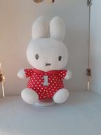 Muziek Nijntje, Ophalen of Verzenden, Gebruikt, Overige typen