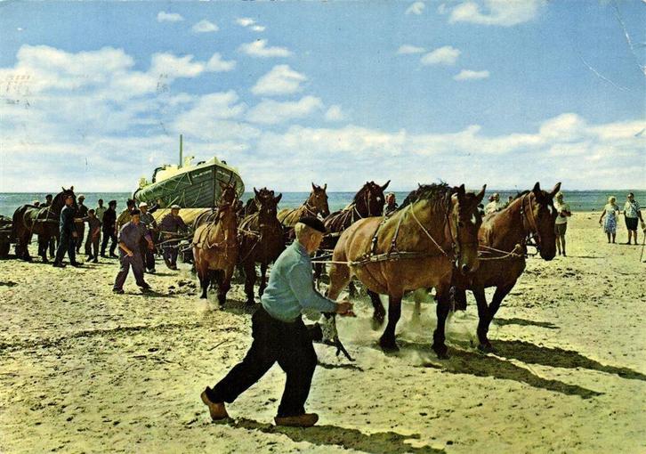 Ameland-Hollum: De reddingboot wordt uit zee getrokken - 197, Verzamelen, Ansichtkaarten | Nederland, Gelopen, Waddeneilanden