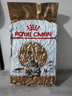 Royal canin, Dieren en Toebehoren, Dierenvoeding, Ophalen, Kat
