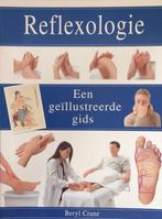 reflexologie een geillustreerde gids, Ophalen of Verzenden, Zo goed als nieuw, Spiritualiteit algemeen, Achtergrond en Informatie