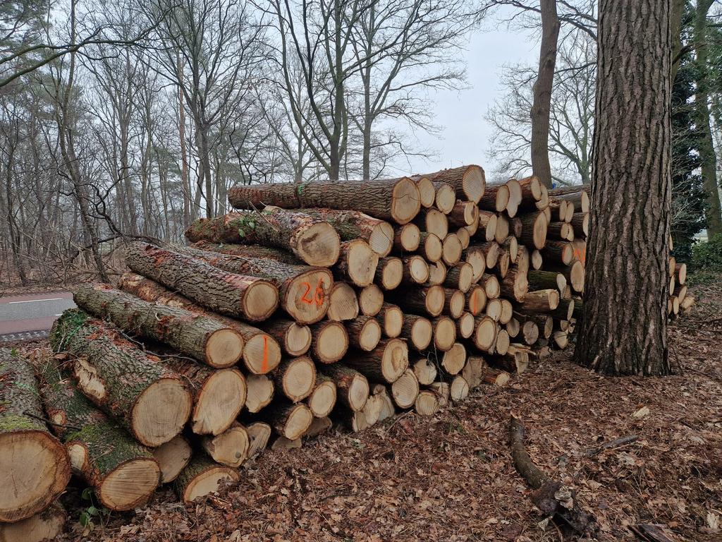 Beschikbaar: vracht machine hout, Inlandse Eik, strak hout, Tuin en Terras, Haardhout, Minder dan 3 m³, Ophalen of Verzenden