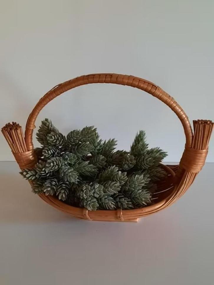 Frans rieten hengselmandje - bootmandje, Antiek en Kunst, Curiosa en Brocante, Ophalen of Verzenden